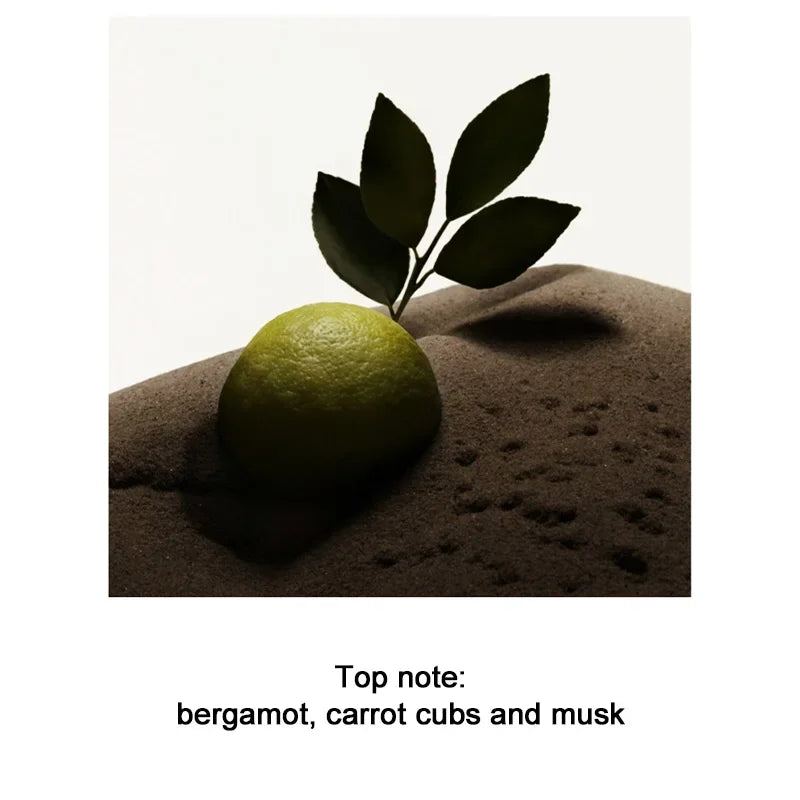 2025 Men's Perfume 100ML Men Sandalwood Perfume Spray Flirting Pheromone Long Lasting Romance Attract Women Valentine Day Gift