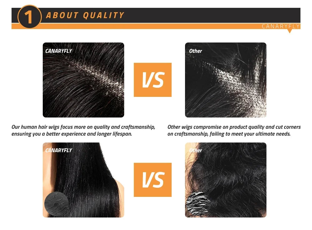 13x6 Hd Lace Frontal Wigs 100% Human Hair Wigs 250 Density Chocolate Brown Straight Colored Human Hair Wig